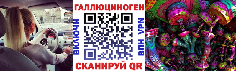 закладка  Электрогорск  Галлюциногенные грибы Psilocybe 