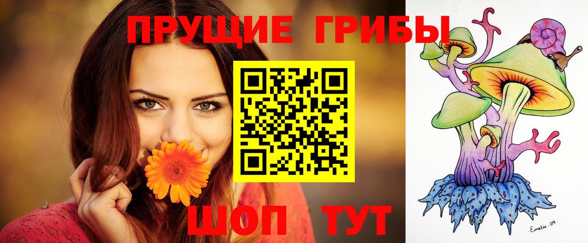 Галлюциногенные грибы мухоморы Электрогорск