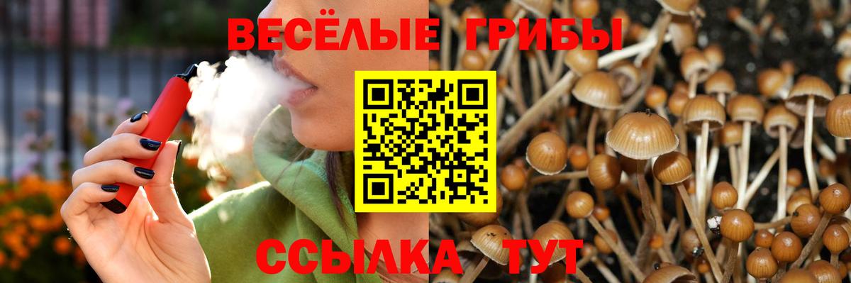 Псилоцибиновые грибы прущие грибы  купить наркотики цена  Электрогорск  Вход с VPN 